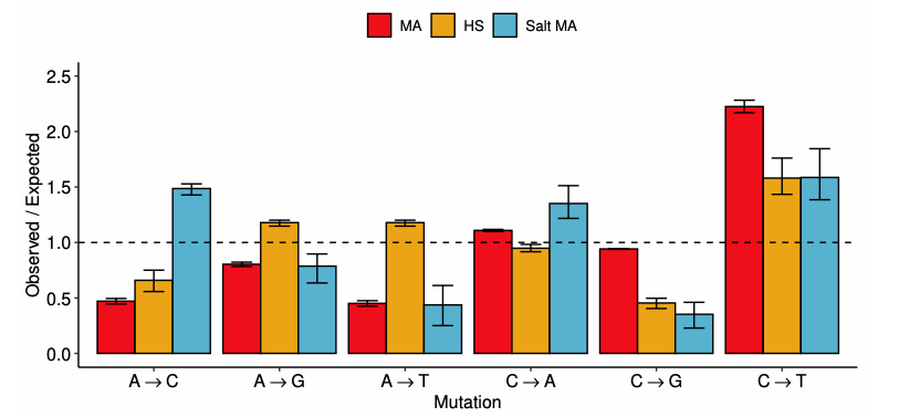 Salt stress alters the spectrum of de novo mutation available to selection during experimental adaptation of Chlamydomonas reinhardtii